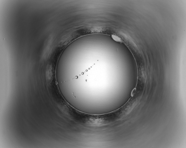 X0000093750311200710161202