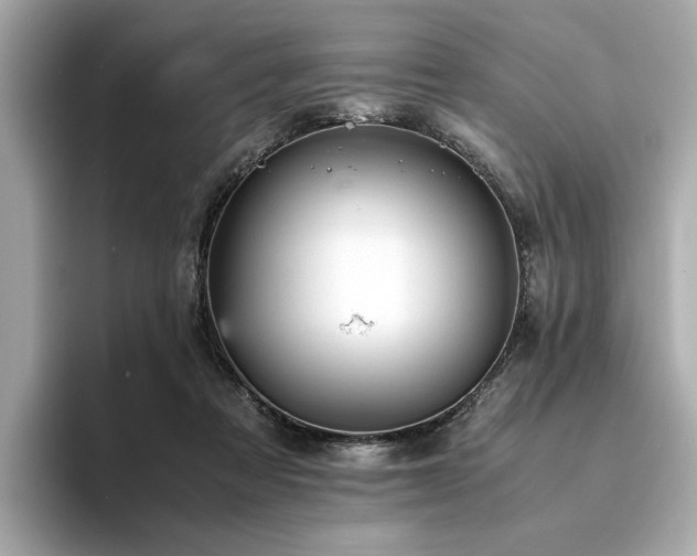 X0000093750313200710161202