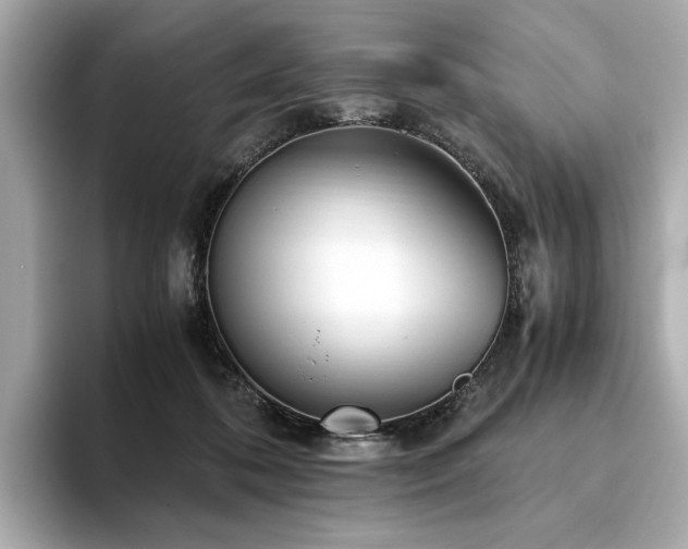 X0000093750316200710161202