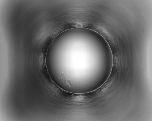 X0000093750318200710161202
