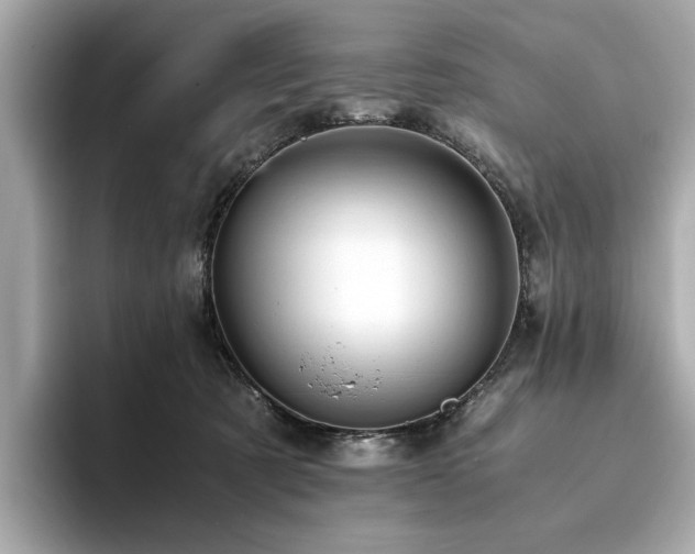 X0000093750321200710161202