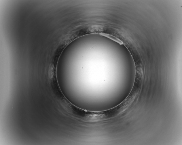 X0000093750323200710161202