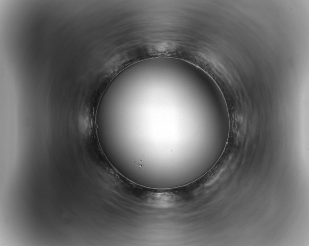 X0000093750324200710161202