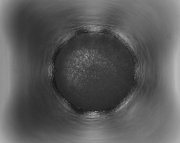 X0000093750325200710161202