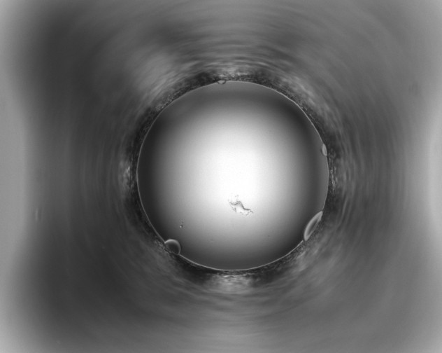 X0000093750327200710161202