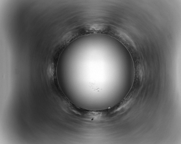 X0000093750328200710161202