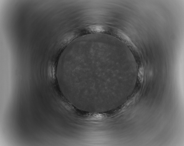 X0000093750330200710161202