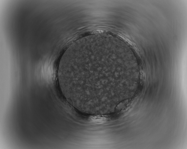X0000093750331200710161202