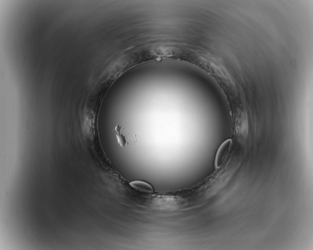 X0000093750332200710161202