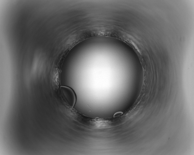 X0000093750336200710161202