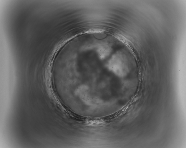 X0000093750337200710161201
