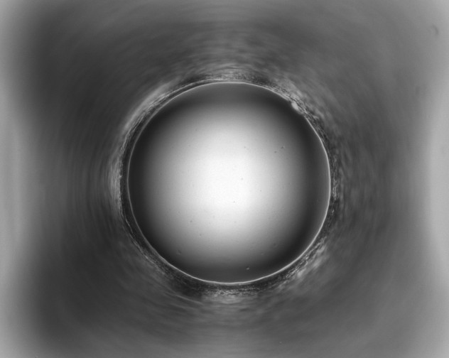 X0000093750341200710161201