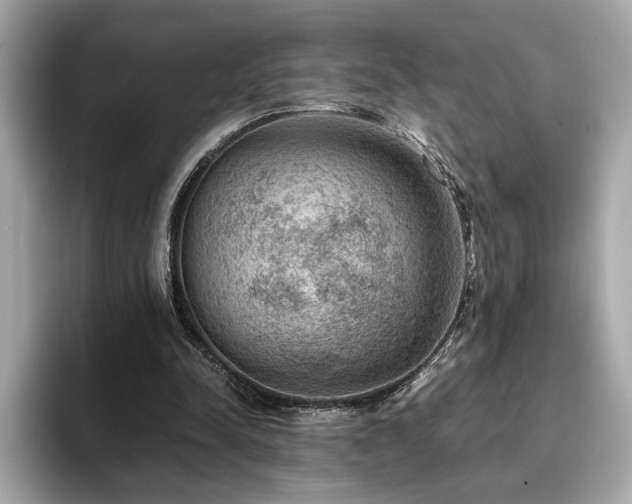 X0000093750342200710161201