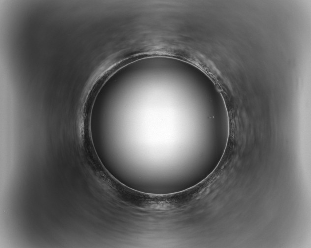 X0000093750344200710161201