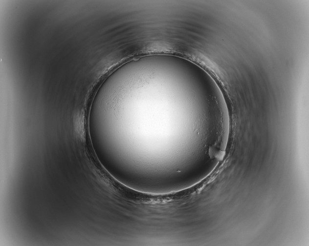 X0000093750345200710161201