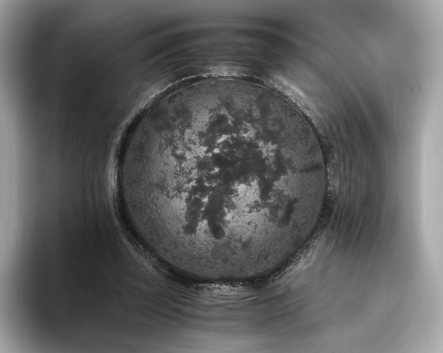 X0000093750347200710161201