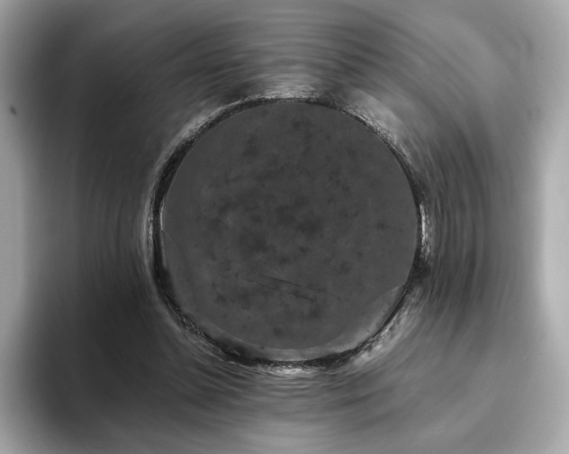 X0000093750348200710161201