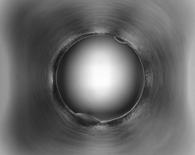 X0000093750350200710161201