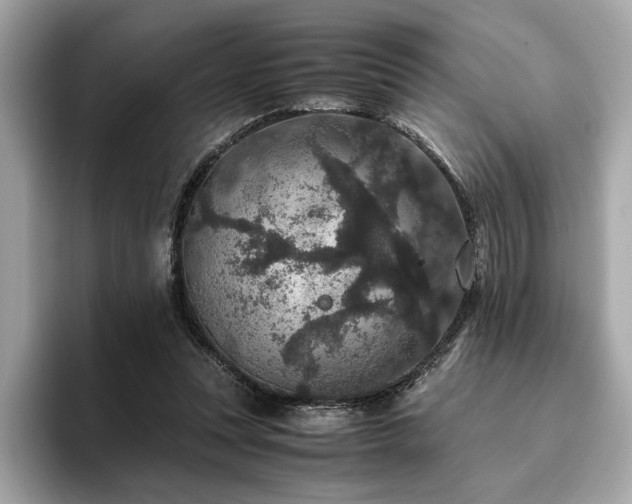 X0000093750351200710161201