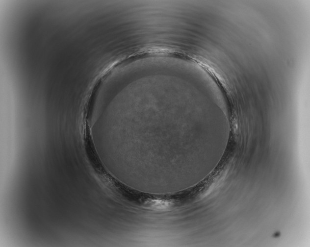 X0000093750352200710161201