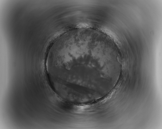 X0000093750353200710161201