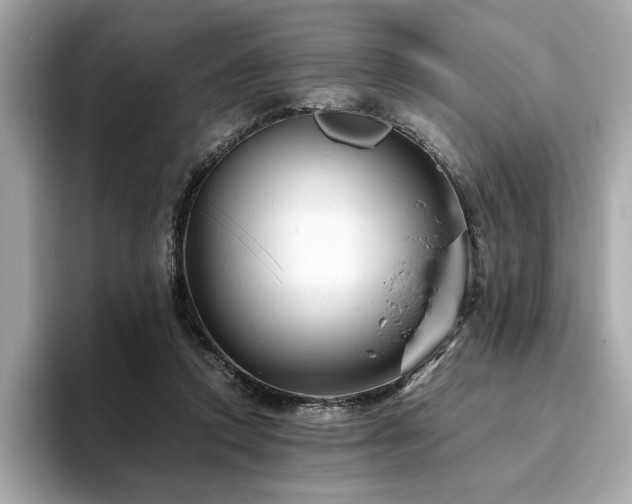 X0000093750354200710161201