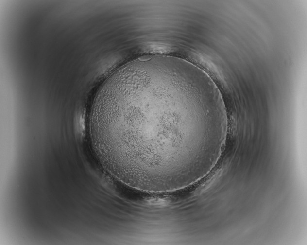 X0000093750358200710161201