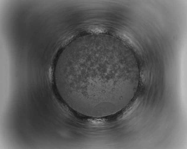 X0000093750359200710161201