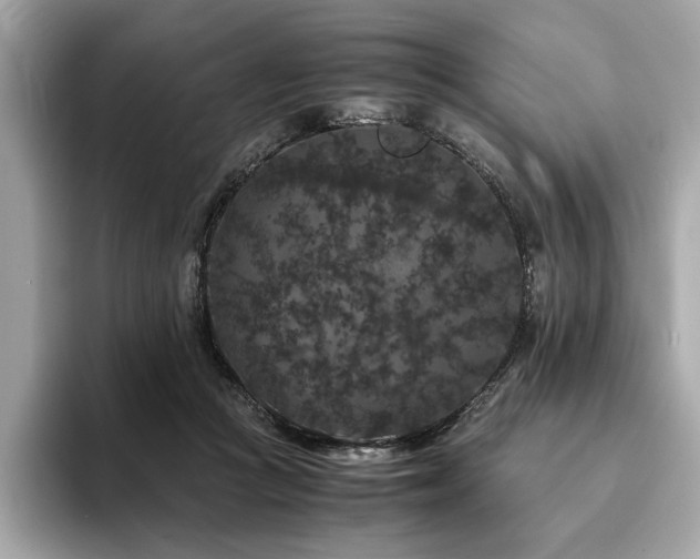 X0000093750361200710161201