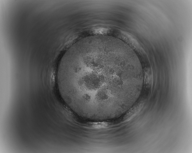 X0000093750363200710161202