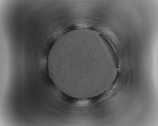 X0000093750369200710161202