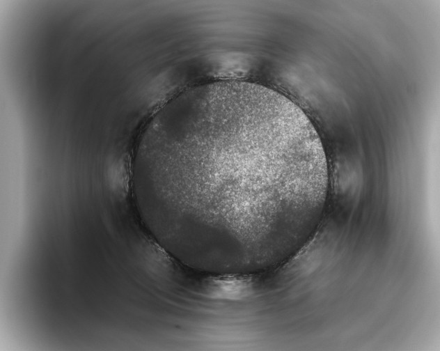 X0000093750370200710161202