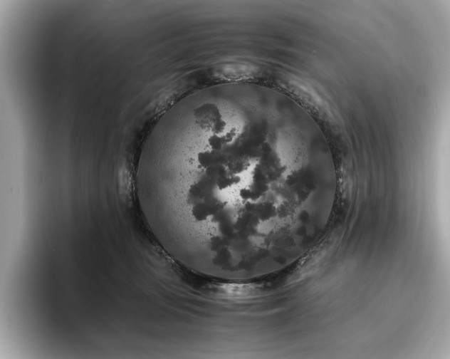 X0000093750371200710161202
