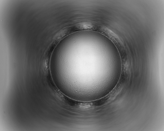 X0000093750373200710161202