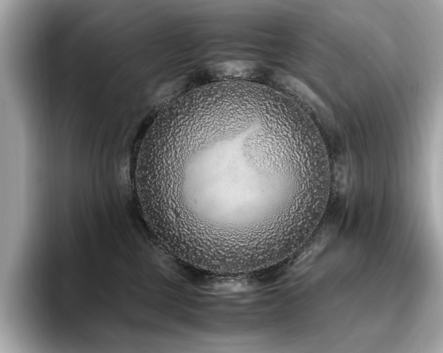 X0000093750377200710161202