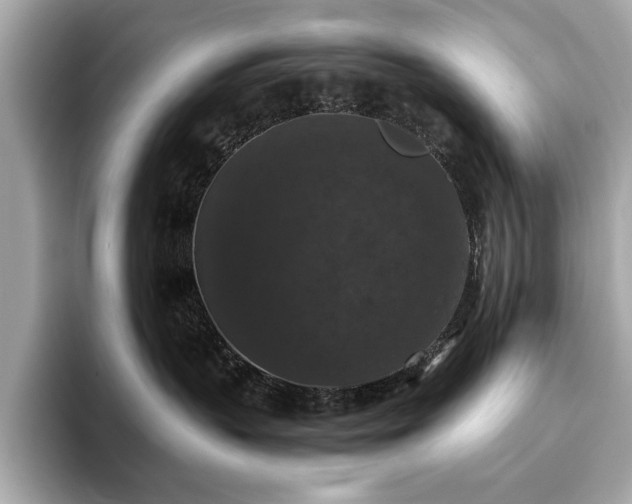 X0000093750383200710161202