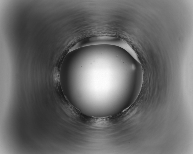X0000093750384200710161202