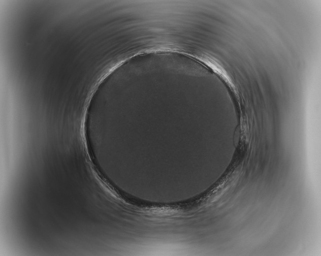 X0000093750389200710161201