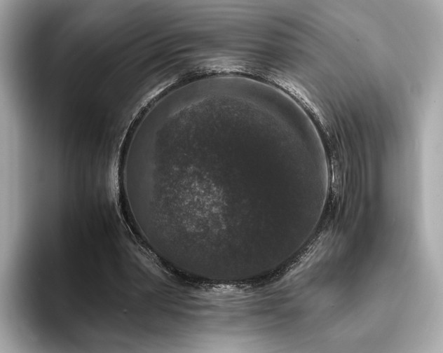 X0000093750390200710161201