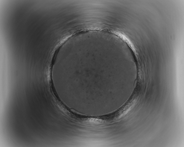 X0000093750393200710161201