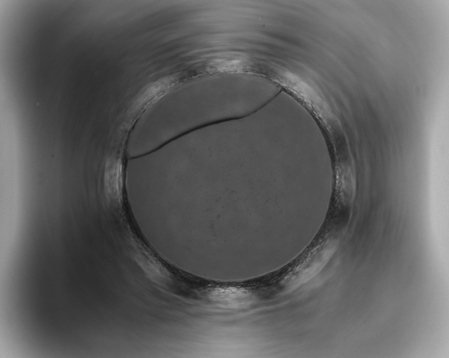 X0000093750397200710161201