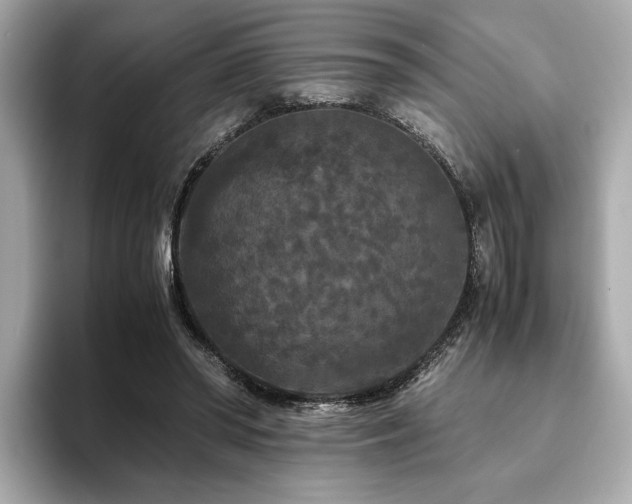 X0000093750398200710161201