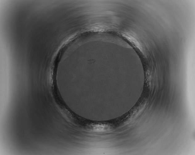 X0000093750400200710161201