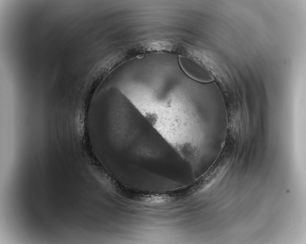 X0000093750402200710161201