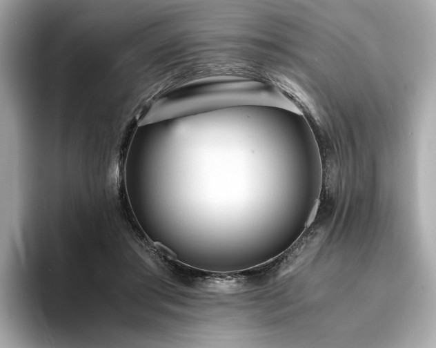 X0000093750405200710161201