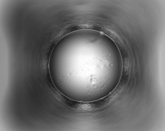 X0000093750409200710161201