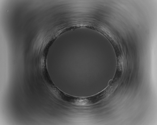 X0000093750410200710161201