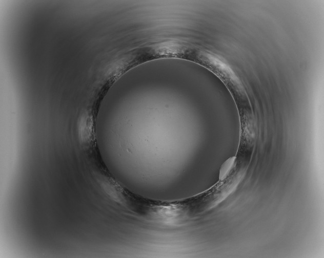 X0000093750411200710161201