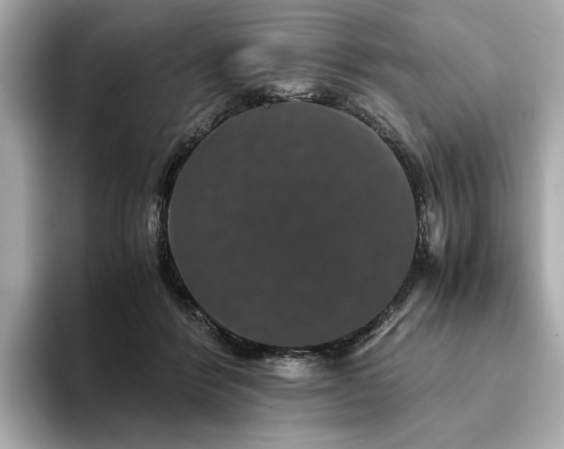 X0000093750412200710161201