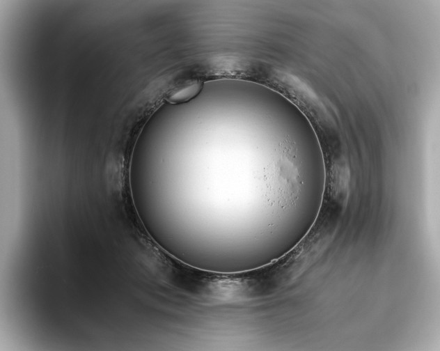 X0000093750413200710161201